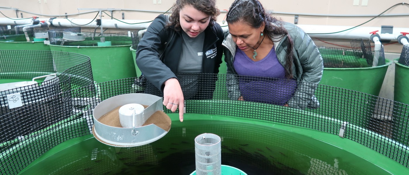 Two students look into a large aquaculture system