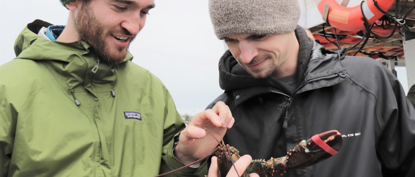 Two male students study a lobster
