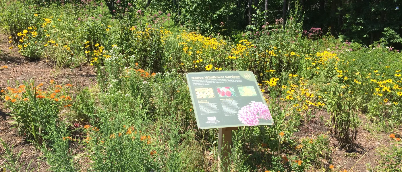 Native garden