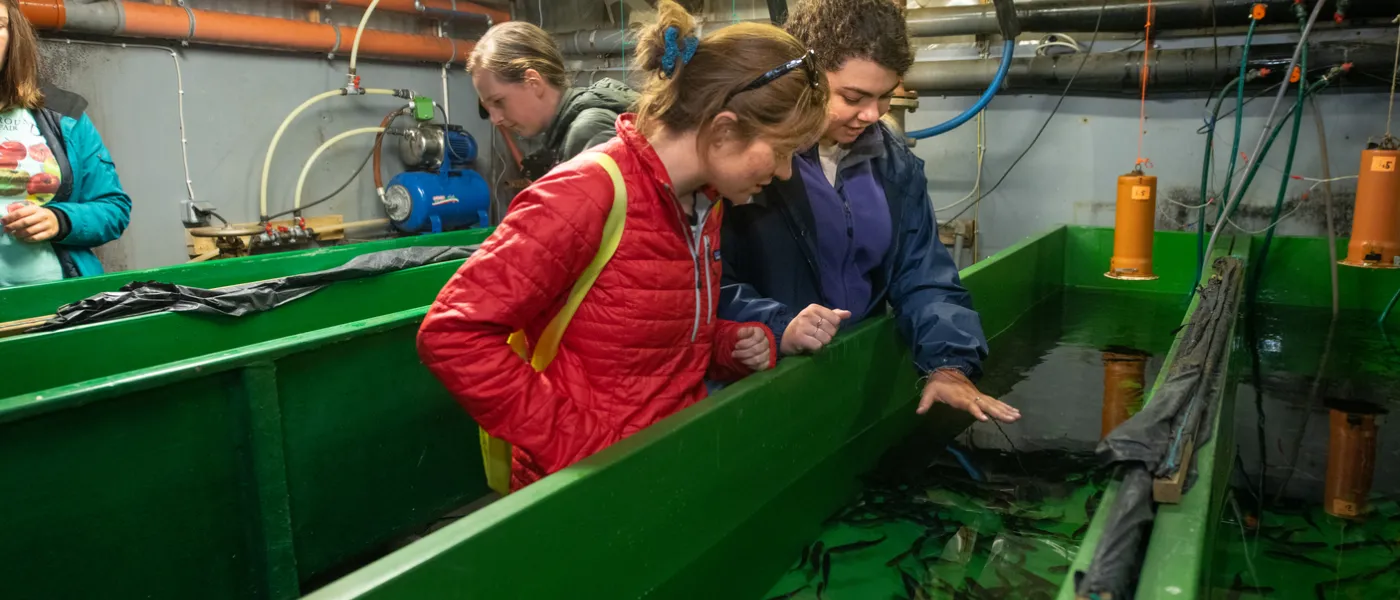 A female student and a male student study an aquaculture pen