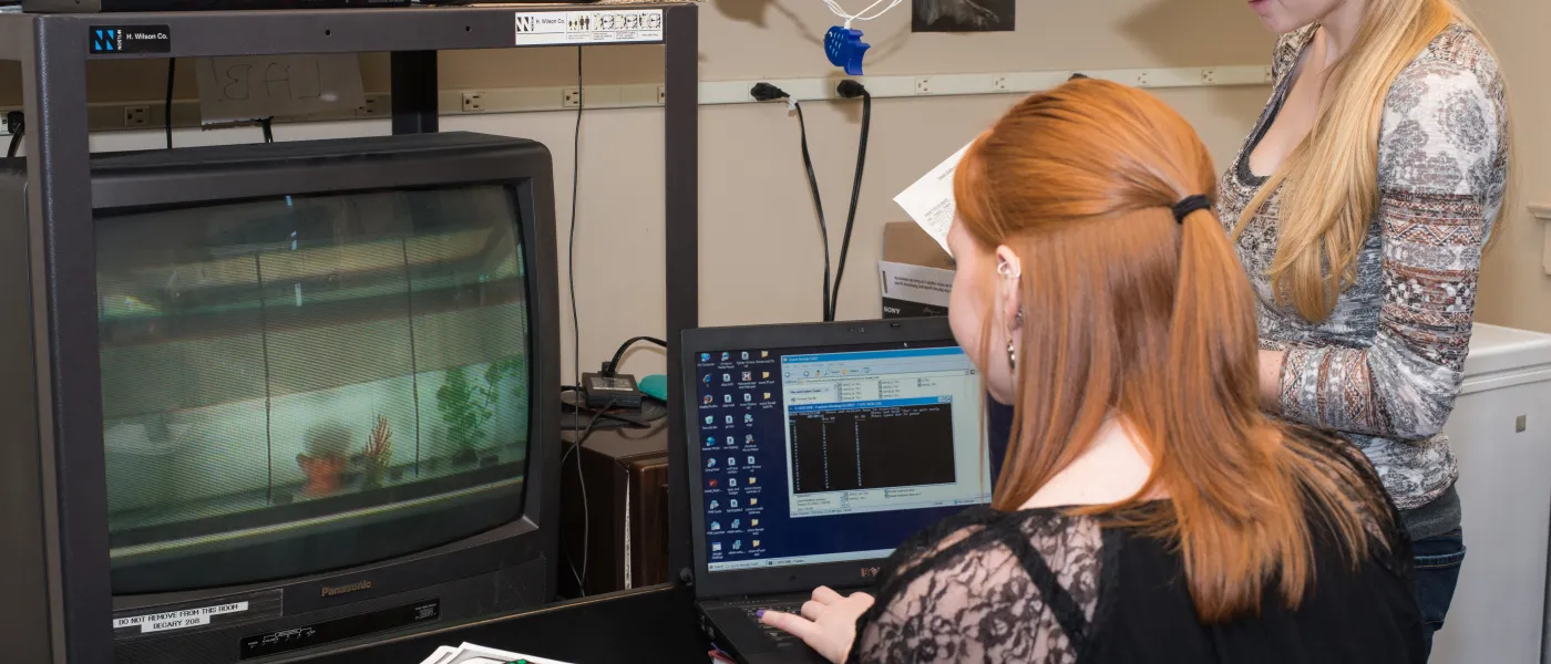 Two U N E students observes a fish's behavior via a video feed