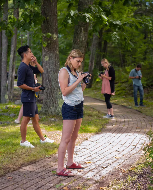 Four students holding cameras take photos in the woods
