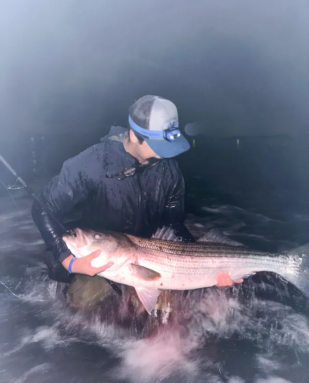 Ben Gowell holds a striped bass at night