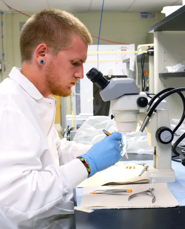 A laboratory science student in a white coat and gloves prepares slides underneath a microscope
