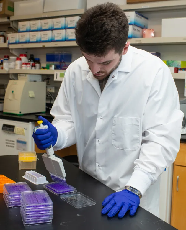 A student in a white coat adds liquid samples to dishes in a lab