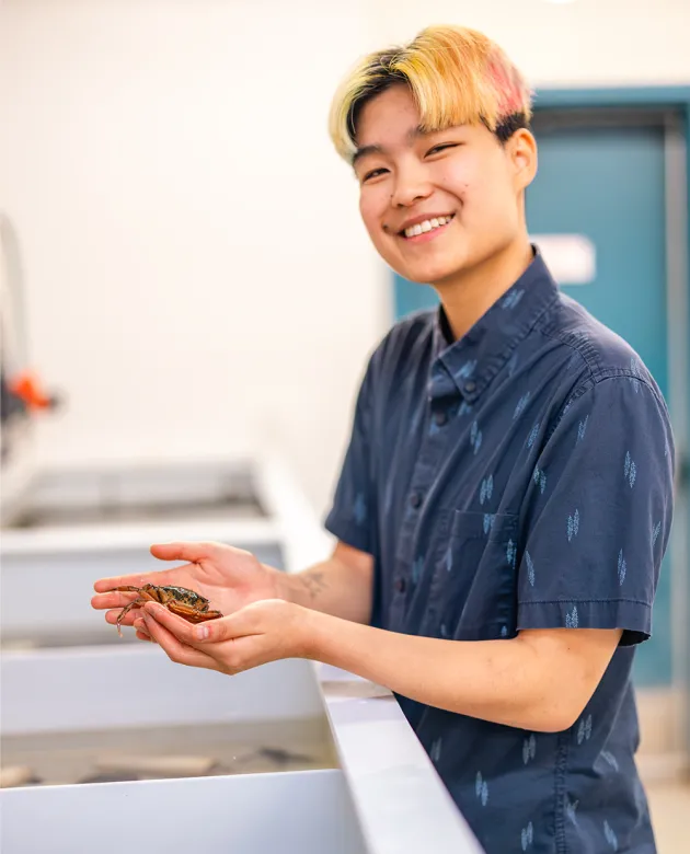 Ruby Motulsky holding a green crab in Frederich's lab