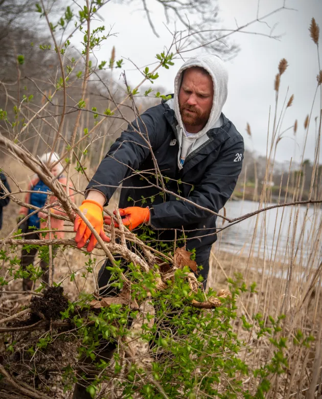 A UNE student stacks branches 
