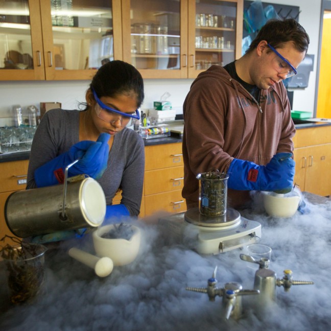 two students work in  a lab