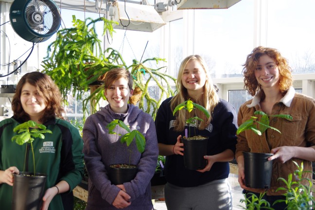 four students hold potted chestnut tree seedlings in a greenhouse