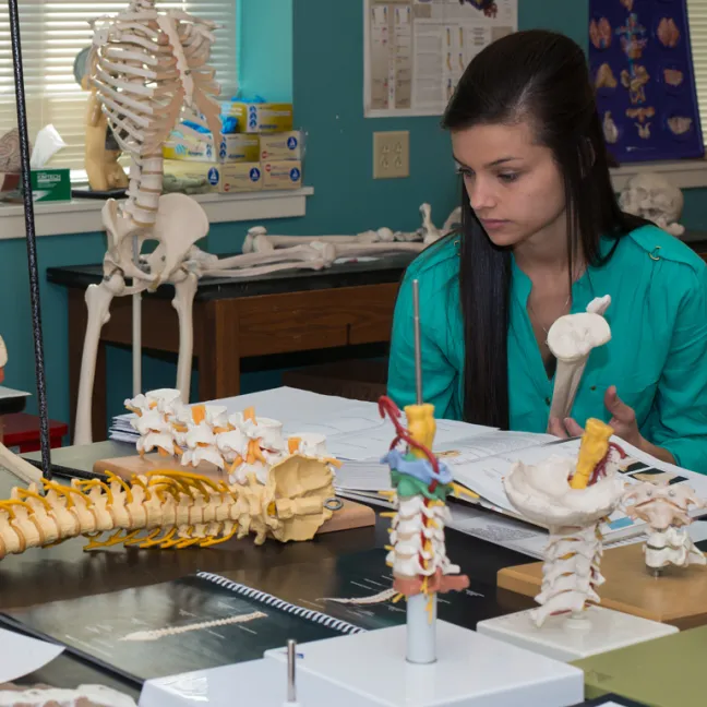 a student takes class in a lab