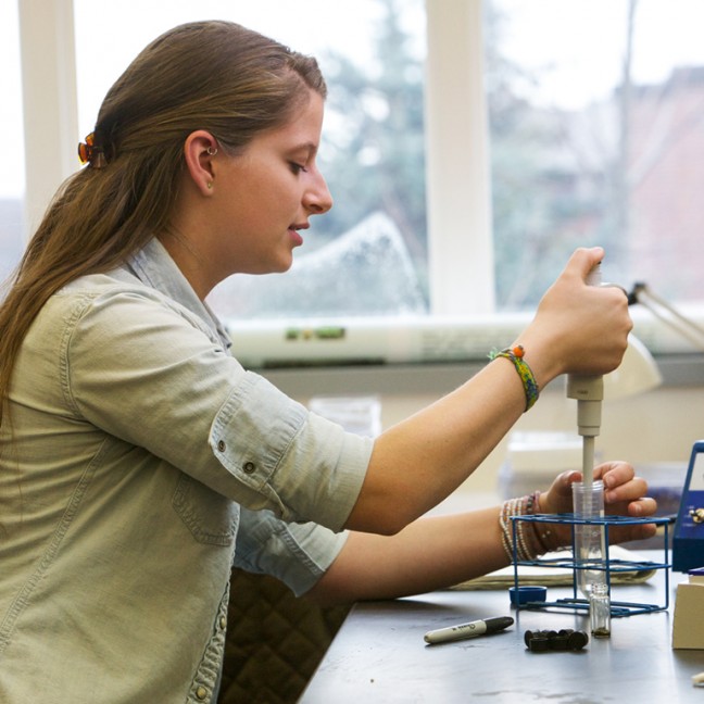 a student works in a laboratory