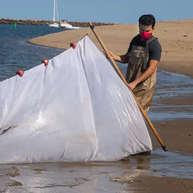 A Marine Science student engaging in hands-on learning in the ocean