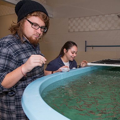 Two students inspect an aquaculture pool
