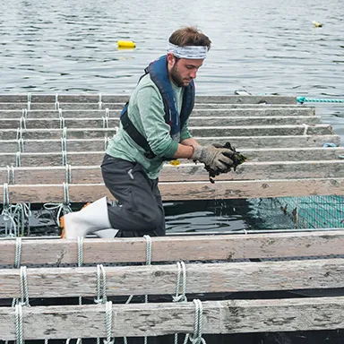 A PSM student holding onto a group of mussels