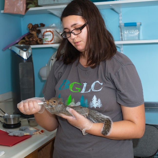 A student holds and feeds a baby squirrel