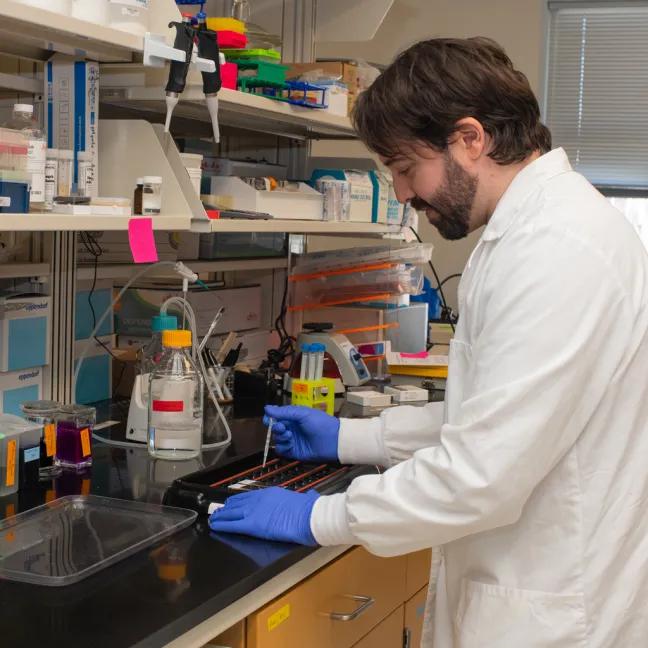 A U N E student does research in a lab