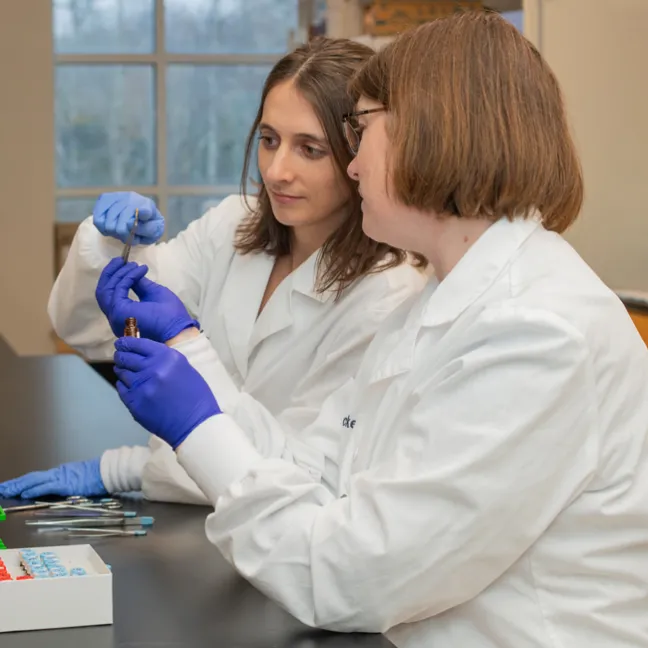A researcher and assistant look at mouse bones