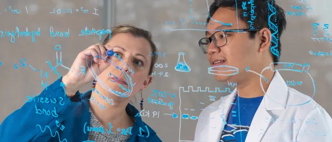 A UNE researcher and student write out formulas on a clear whiteboard