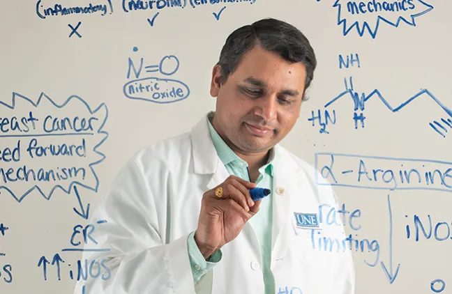 Sri Mohan, Ph.D., writing on a transparent board surrounded by his research