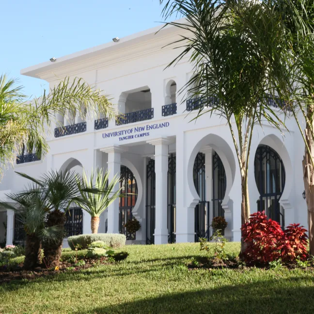 A white building with arches surrounded by palm trees and lush greenery