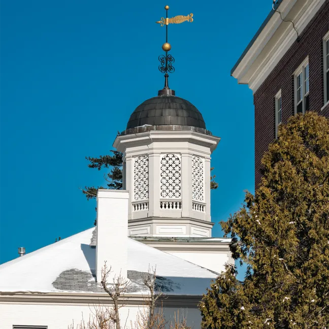 Dome with lattice design and copper dome against a blue sky, topped with a gold weather vane