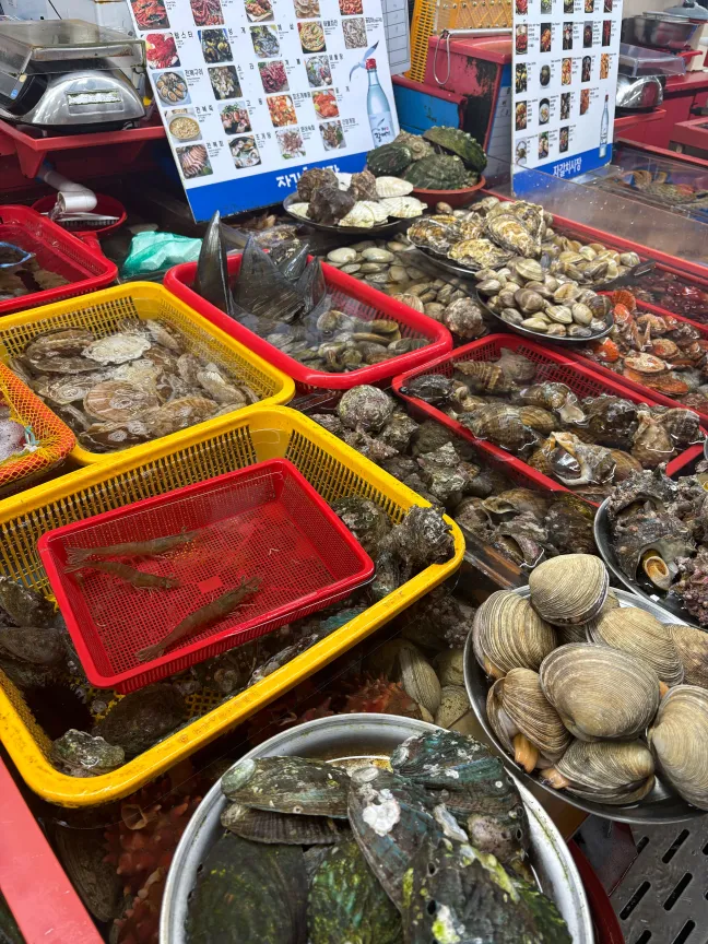 Image of shellfish at a Busan seafood market