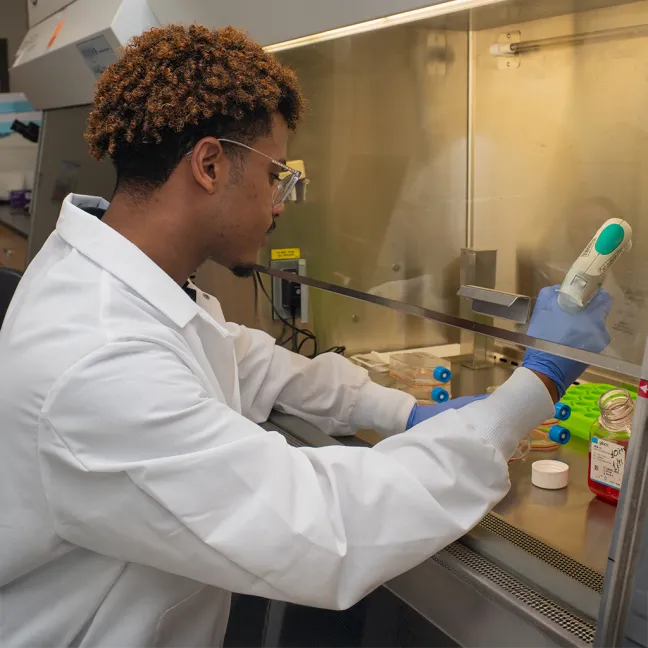 Scientist wearing safety glasses and protective sleeves pipetting samples into colorful tube racks inside a biological safety cabinet.