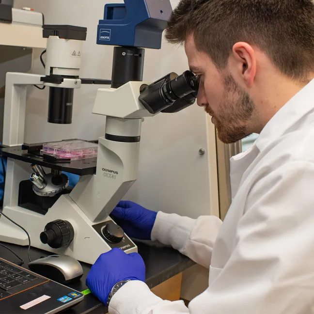 A U N E student looks into a microscope in the center for cell signaling research