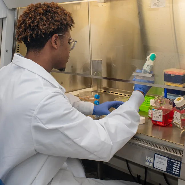 A U N E student works in the center for pain research