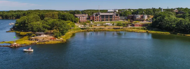 Aerial image of the U N E Biddeford campus