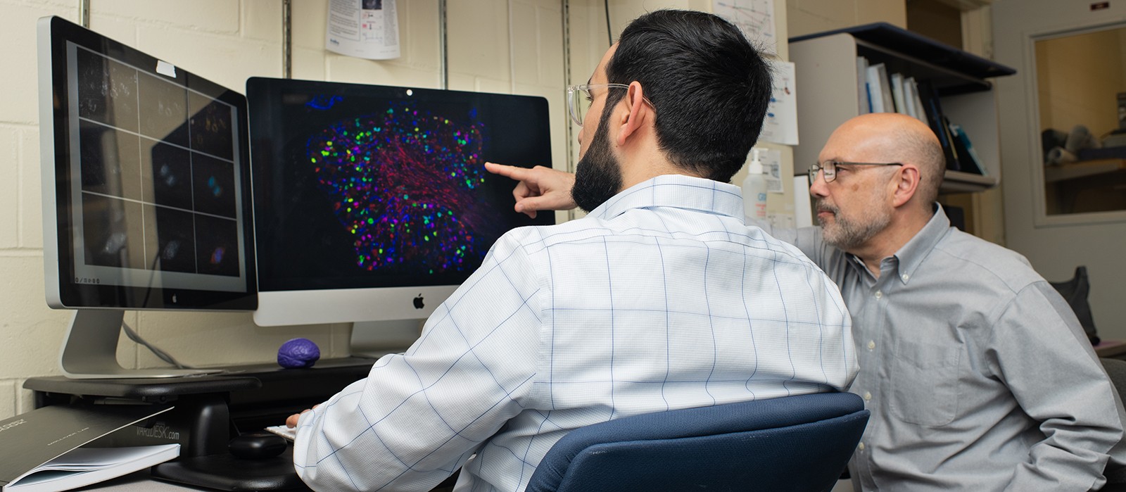 A professor points to a histology image on a computer screen