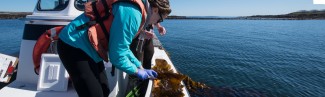 Student on a boat studying kelp