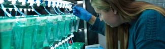 A student researchers works in the Zebrafish Education and Research Facility
