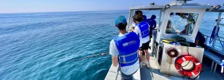 Shark bycatch reduction research