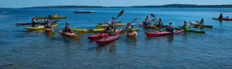 Several students paddle individual kayaks