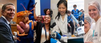 A collage of images showing photos from 2023, including UNE President James Herbert, an orange lobster, and various student and faculty photos