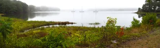 The shoreline of the Saco River with sailboats visible