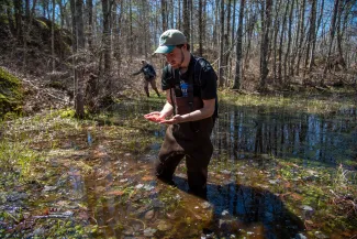 Alex Woodworth Vernal Pools