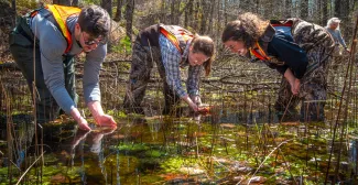 Environmental studies students search for eggs in UNE's vernal pools