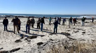 For the second year, University of New England students helped the Biddeford Pool Conservation Trust plant dune grass along a Biddeford beach to make it more climate resilient following widespread erosion that occurred along the Biddeford Pool beach as as result of the back-to-back January storms in 2024.  