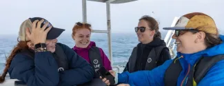 UNE researcher fills gap in Gulf of Maine harbor porpoise data
