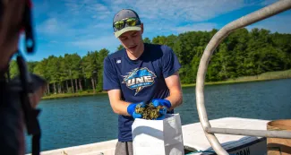 Jackson Martine transfers green crabs to holding containers