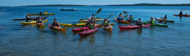 Several students paddle individual kayaks