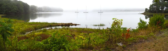 The shoreline of the Saco River with sailboats visible 