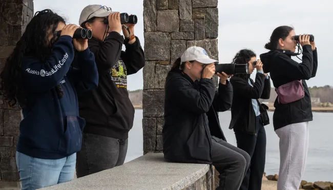 As the president UNE Birders, Haley Hines chose to meld their love of birds with a desire to help others  