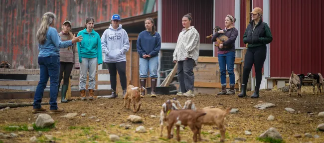  UNE nutrition students get inside look at intentional, caring work at sustainable dairy farm