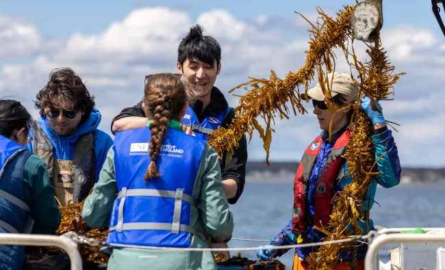 Students hoist help onto a UNE research vessel