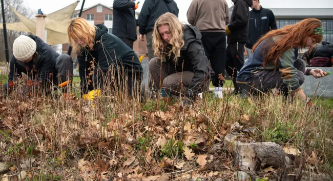 Students clear invasive plants from the UNE shore