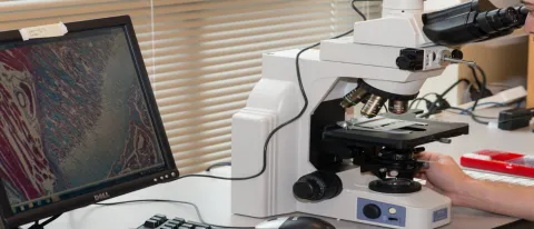 Generic microscope photo