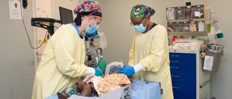 Two Nurse Anesthesia students practice on a simulator in UNE's clinical simulation center